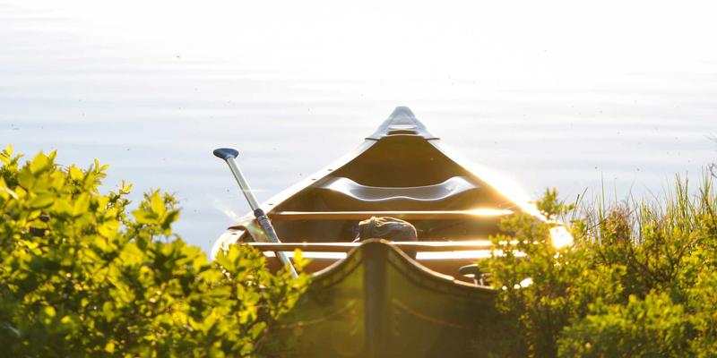 DTC品牌出海新纪元：破解独立站建设、本土化营销与全球支付挑战