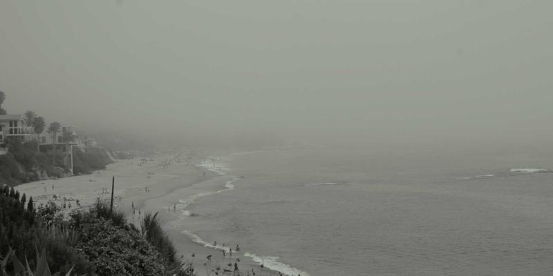 数字贸易新生态：B2B电商平台如何通过治理假货与刷评维护公平竞争