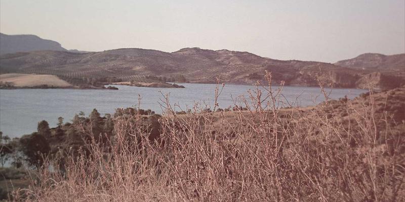 数字贸易时代，电商平台如何将第一方数据资产化？从安全支付到B2B增长的货币化策略