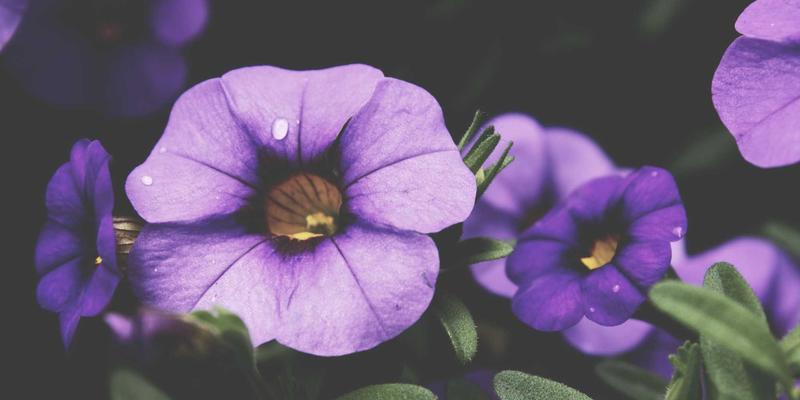 绿色电商新纪元：借助digital trade与secure payments实现可持续包装转型